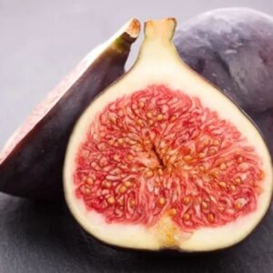 incir yerken bir kez daha dusunun her incirin icinde en az bir tane bulunuyor rZeXSgOq