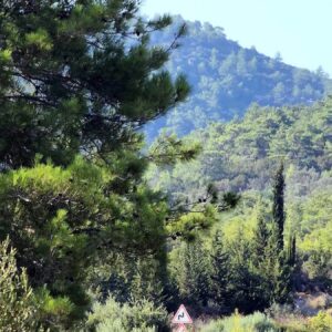 ormanlarda maden arama hukumleri degisti XiHIXKpU