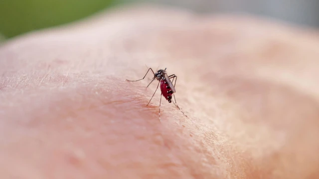 komsuda virus alarmi iki kisi oldu tFgX5WNh