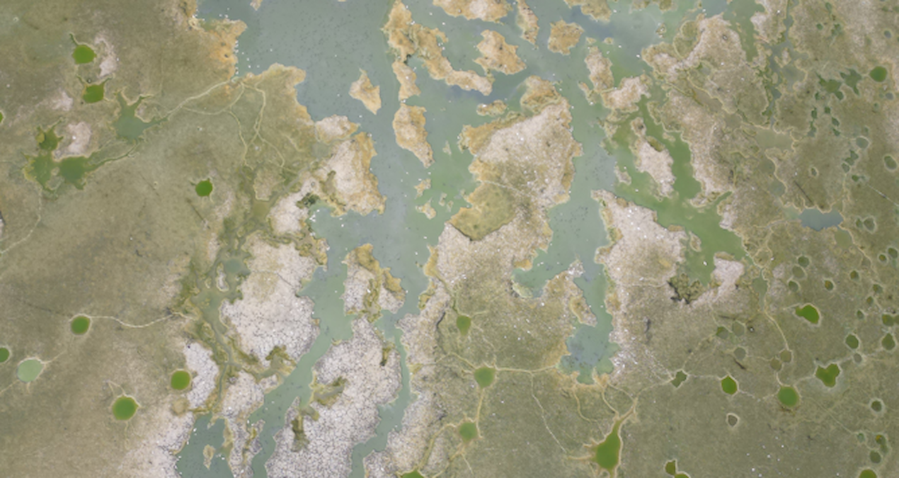 yesilsirt goleti kuruma noktasina geldi Zx1Jbq1r