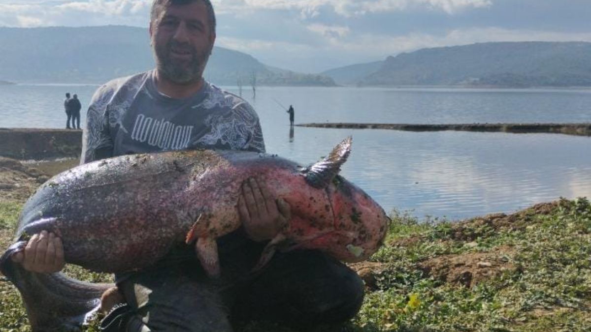 bursada su seviyesi dusen barajda yayin baligi avlandi E1qD8aeI.jpg