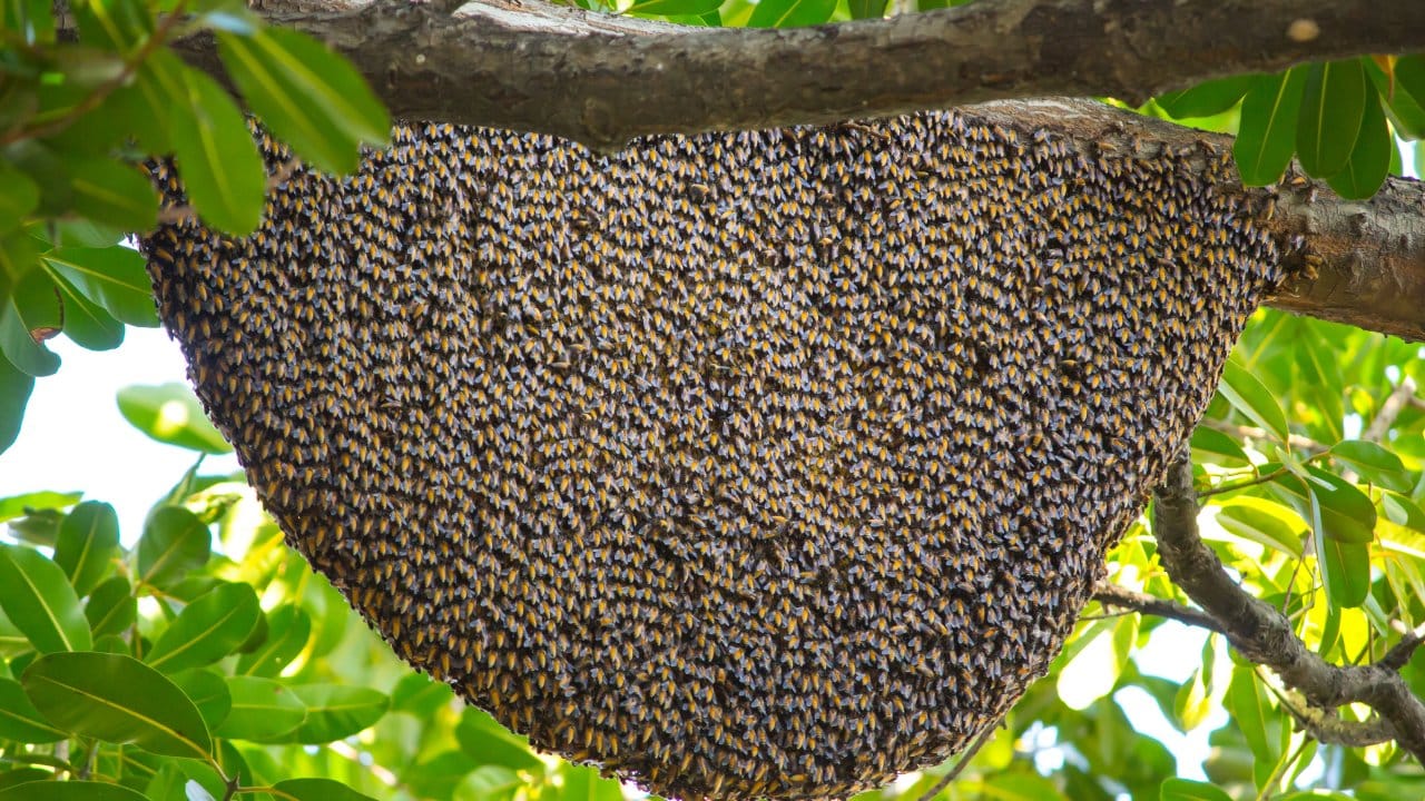 bingolde ureticilere yuzde 75 hibe verildi 9CapEBuU.jpg