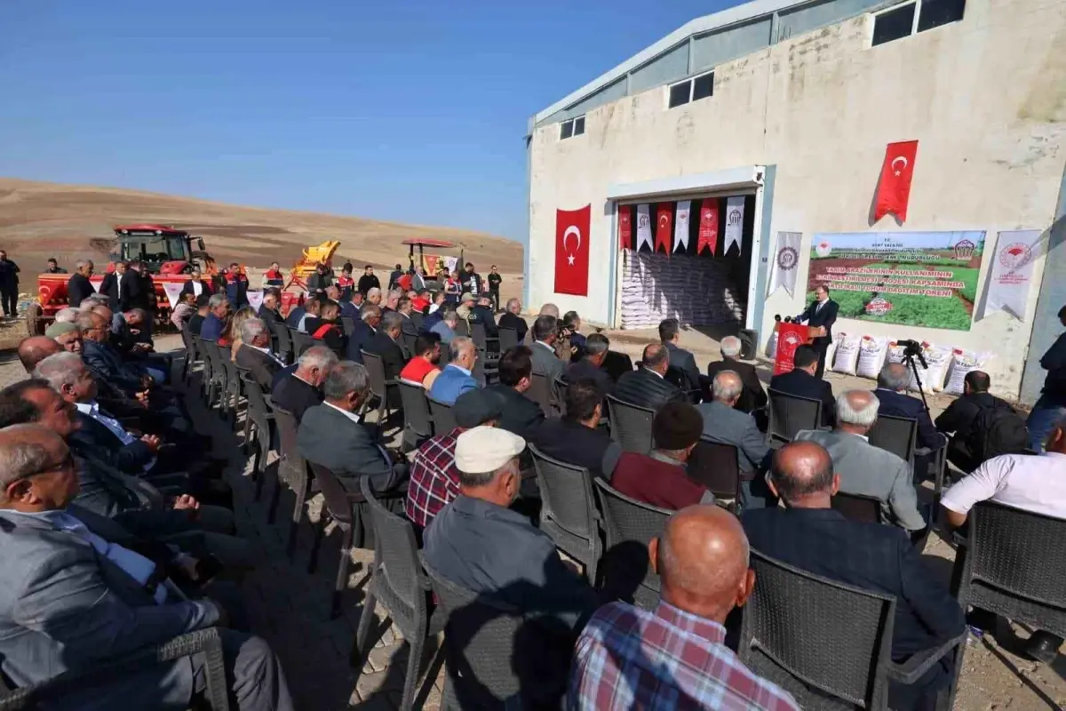 siirtte 203 ton kirmizi mercimek ciftcilere dagitildi VEejhVlA.jpg