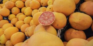 ihracatin-lokomotifi-turuncgil-oldu-gelirler-yuzde-61-yukseldi-XfRtecC1